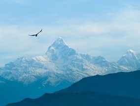 探索乌干达之美，定制旅游摄影团队之旅乌干达定制旅游摄影团队有哪些